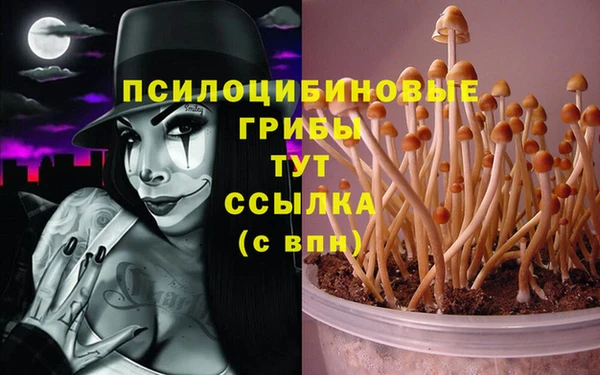 шишки Навашино