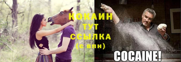 шишки Навашино