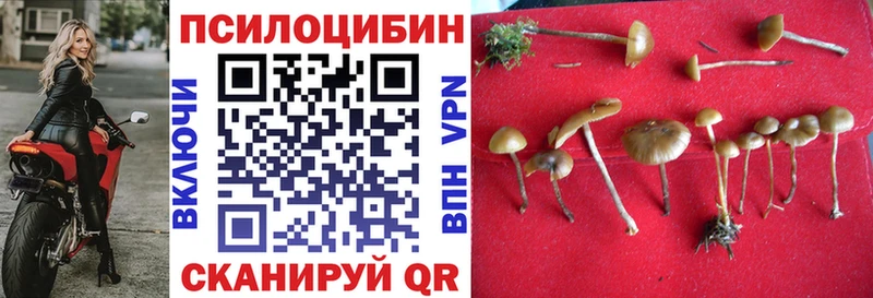Псилоцибиновые грибы Magic Shrooms  ссылка на мегу онион  Камбарка  наркотики 